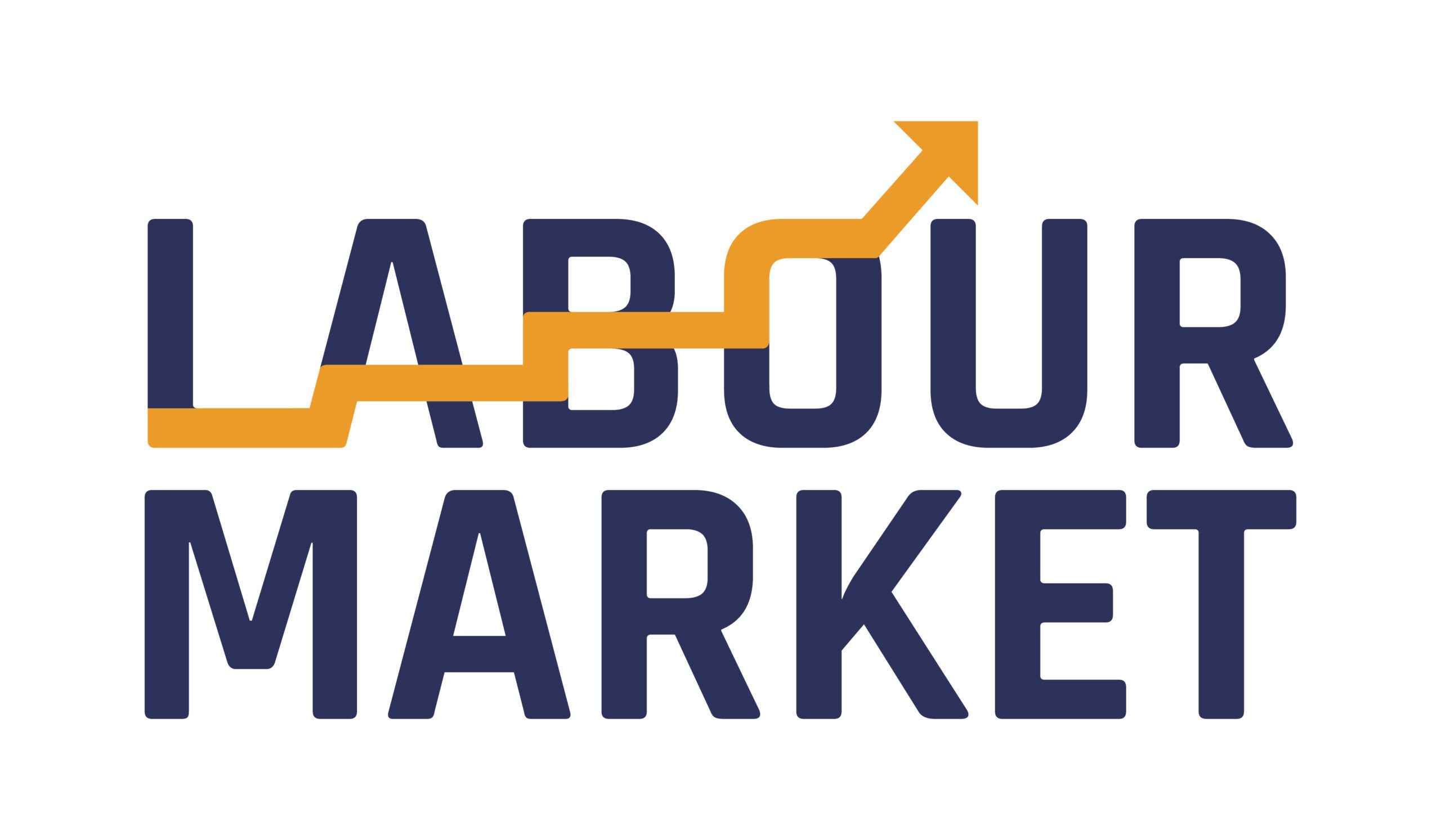 Labour Market Intelligence Guide for Businesses & Job Seekers