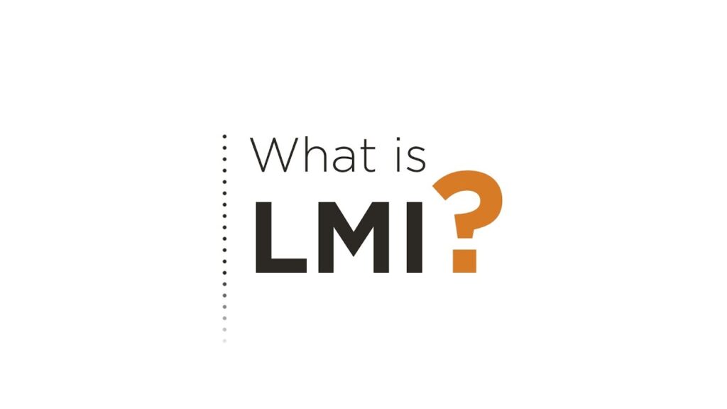 What Is Labour Market Intelligence?